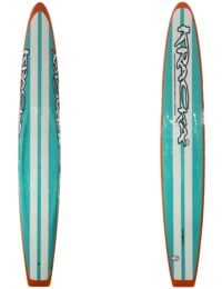 Online Store - GT Aqua/Orange/ White